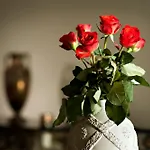 酒店 Antiq Palace - Historic Of Europe