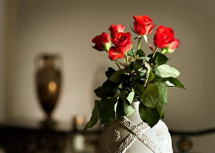 酒店 Antiq Palace - Historic Of Europe