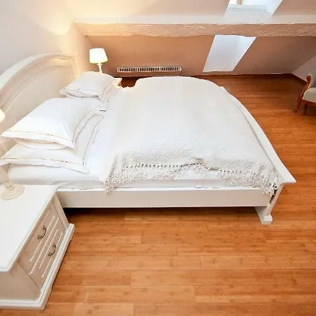 Antiq Palace - Historic Of Europe Hotel Laibach